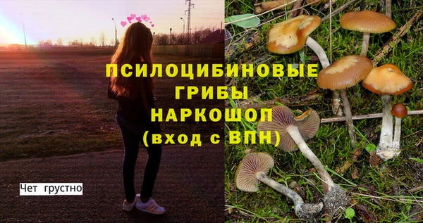 стафф Белокуриха