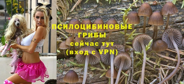 гашиш Богданович