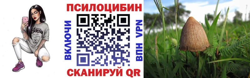 как найти закладки  Трёхгорный  Псилоцибиновые грибы прущие грибы 